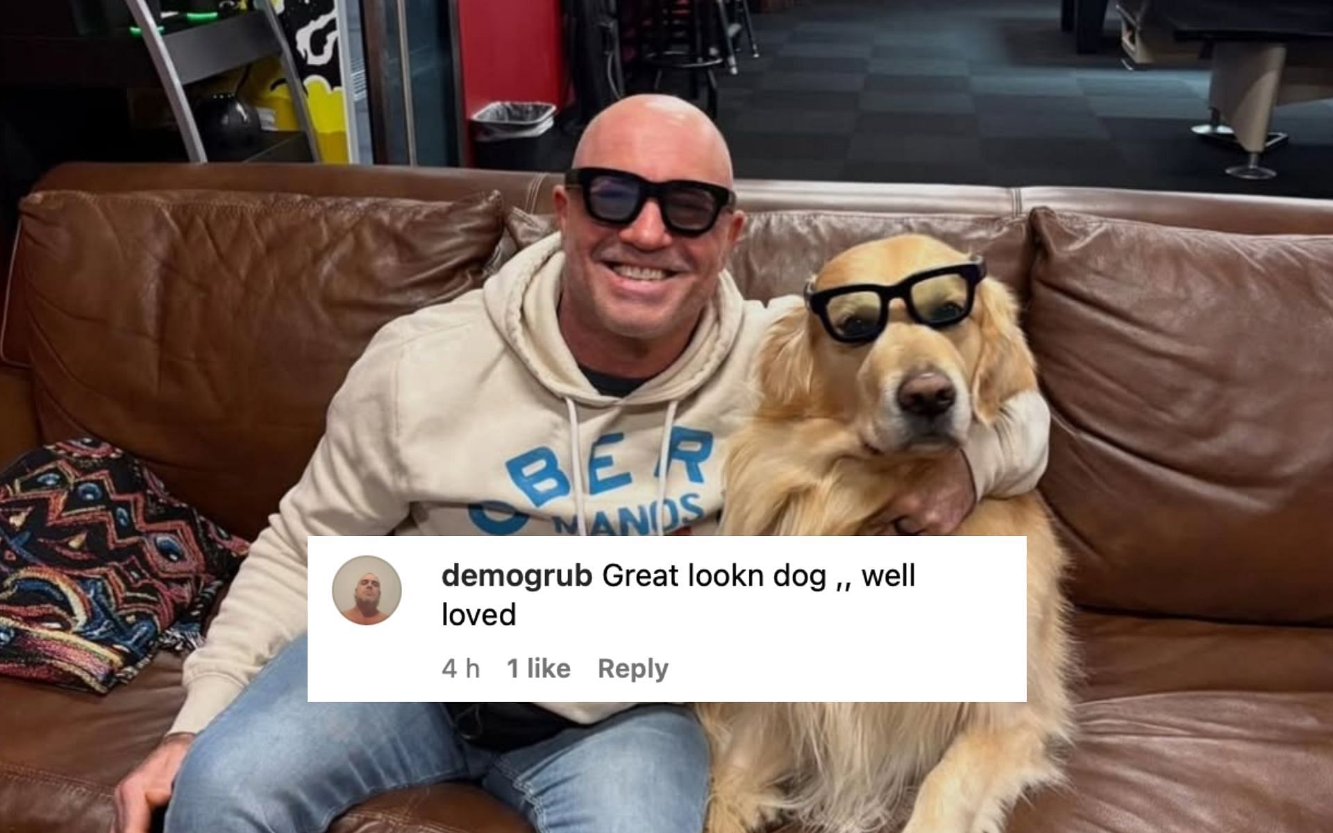 Joe Rogan posted a picture of him and his dog Marshall trying the new Meta technology [Image Courtesy: @joerogan on Instagram]