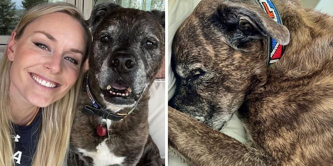 Lindsey Vonn shares health update about her dog Leo after his blood cancer diagnosis