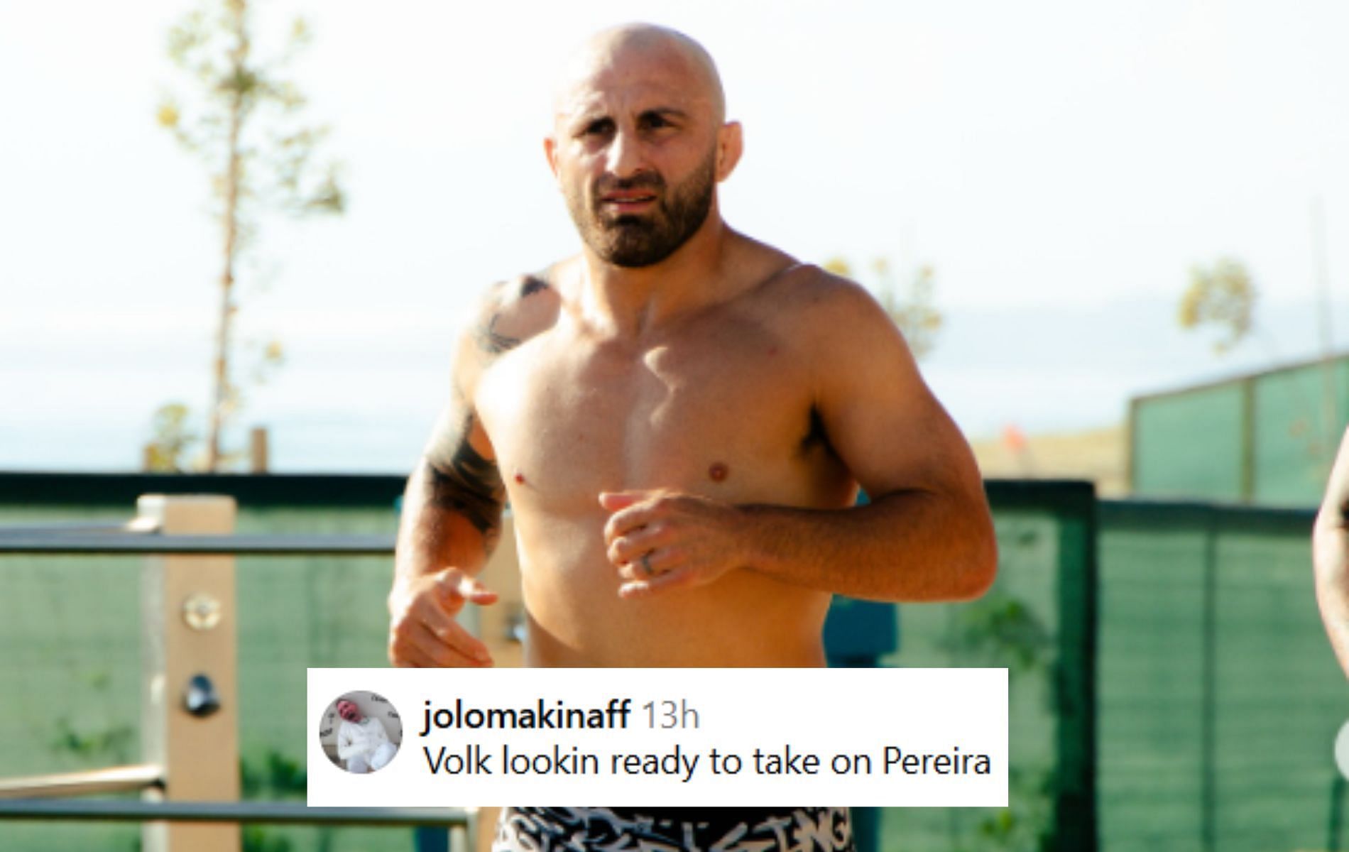Fan reactions to the snaps in Alexander Volkanovski