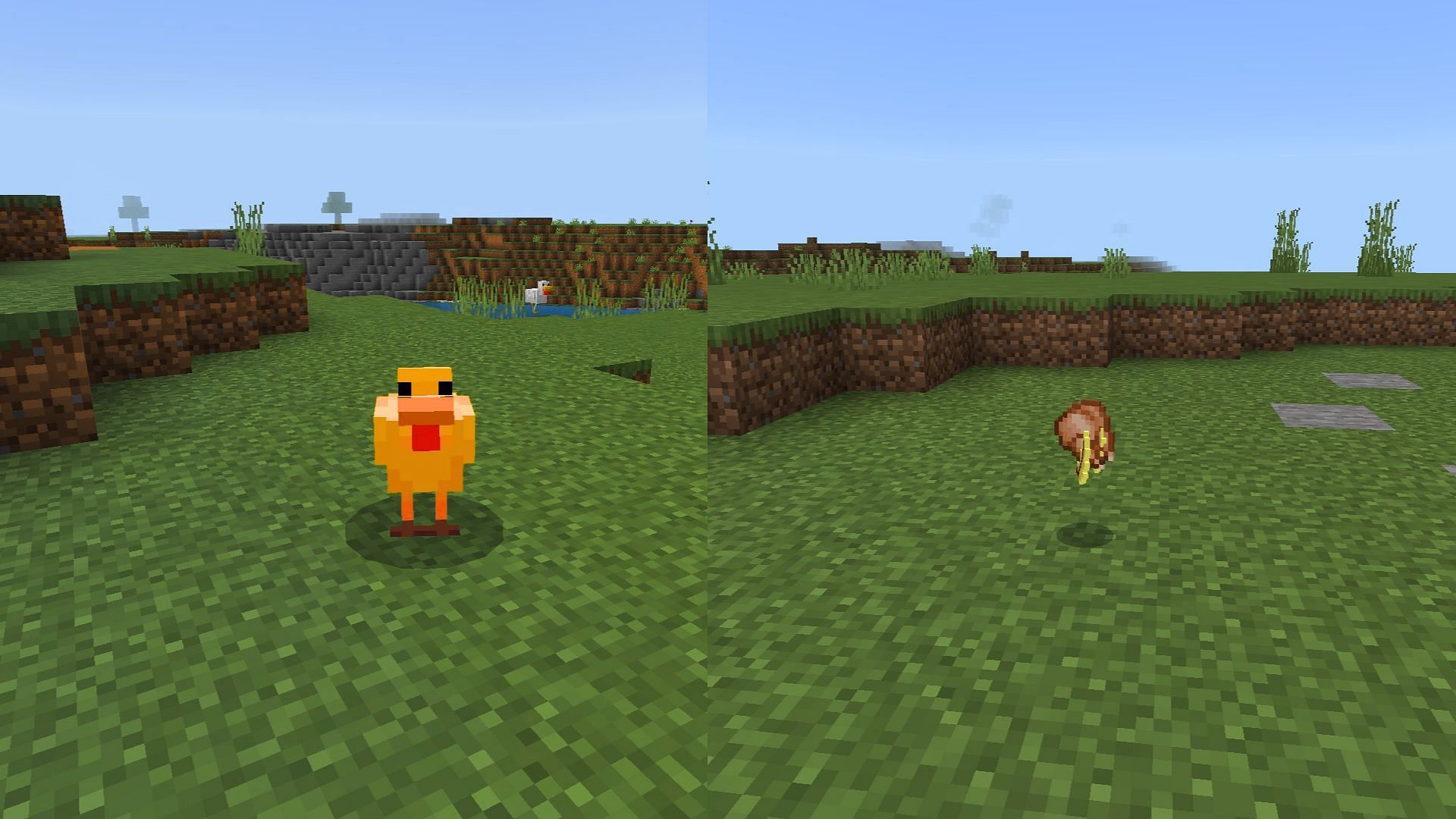 Golden chickens would be a nice addition (Image via Mojang Studios || Bass_Pro_Dan)