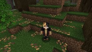 Minecraft: How to get and use leaf litter