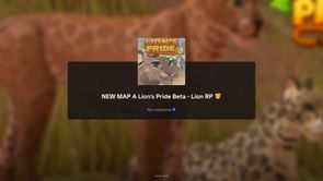 A Lion’s Pride: A beginner's guide