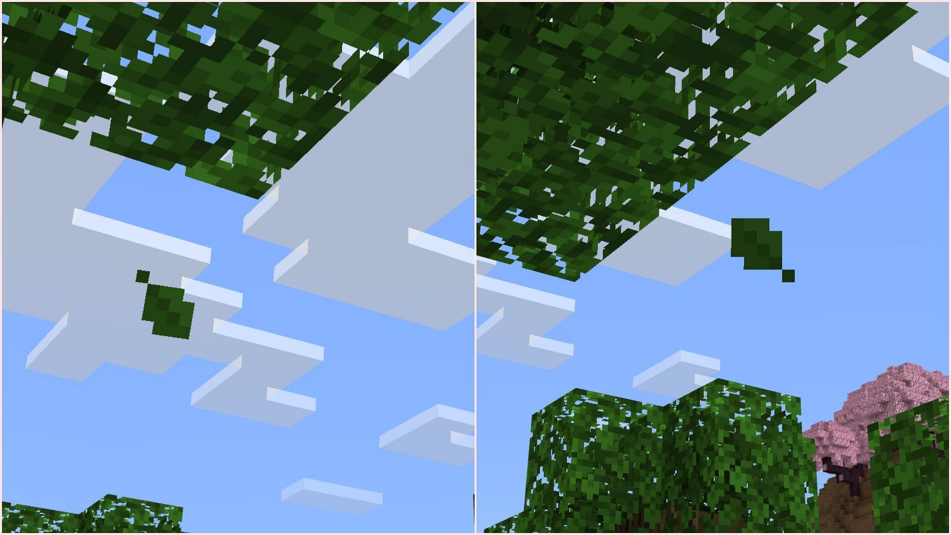 Leaves will fall from every tree in Minecraft (Image via Mojang Studios)