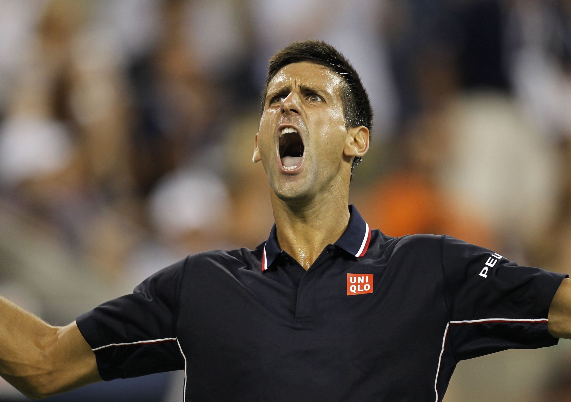 Novak Djokovic shouts in celebration [Image Source: Getty Images]