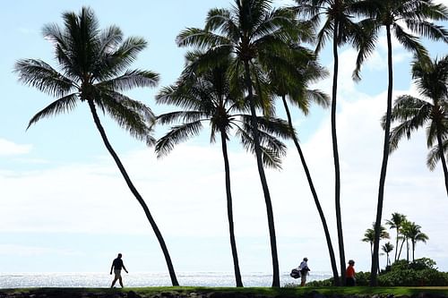 Who will win the Sony Open? (Image via Getty)