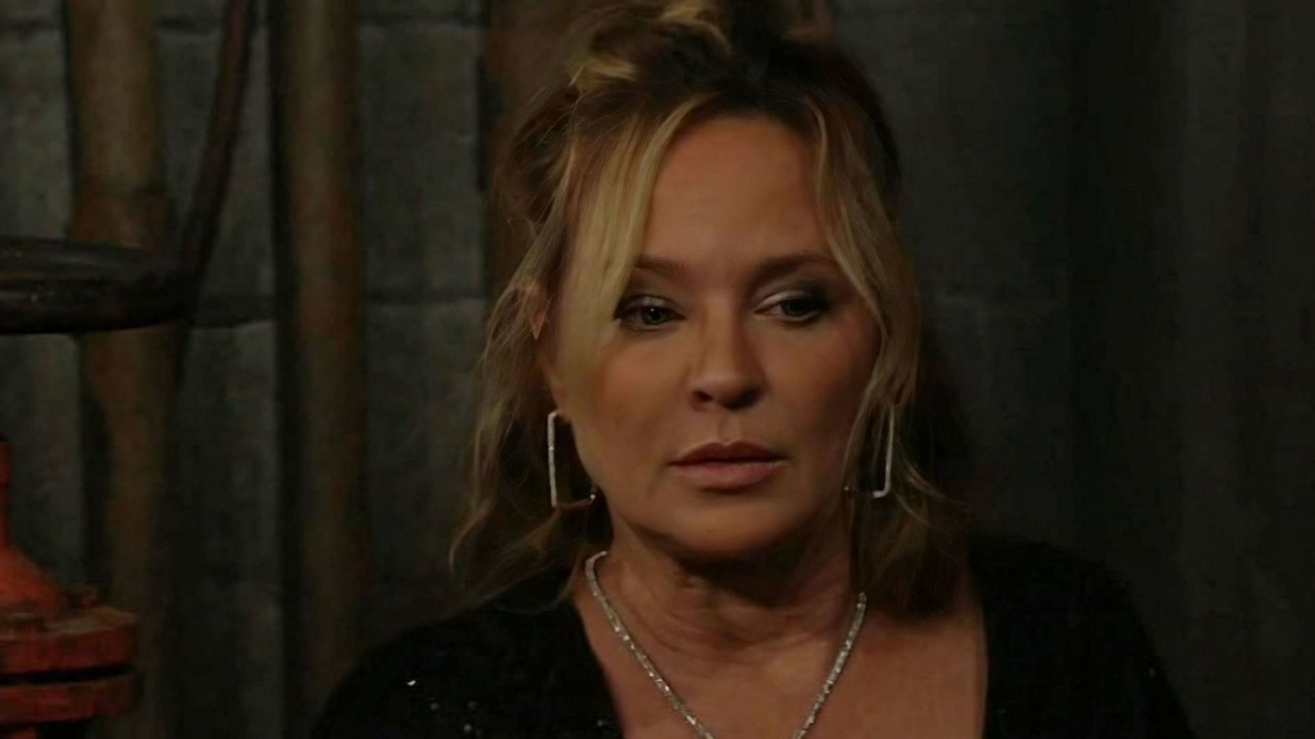 Sharon Newman in a still from The Young and the Restless (Image via CBS)