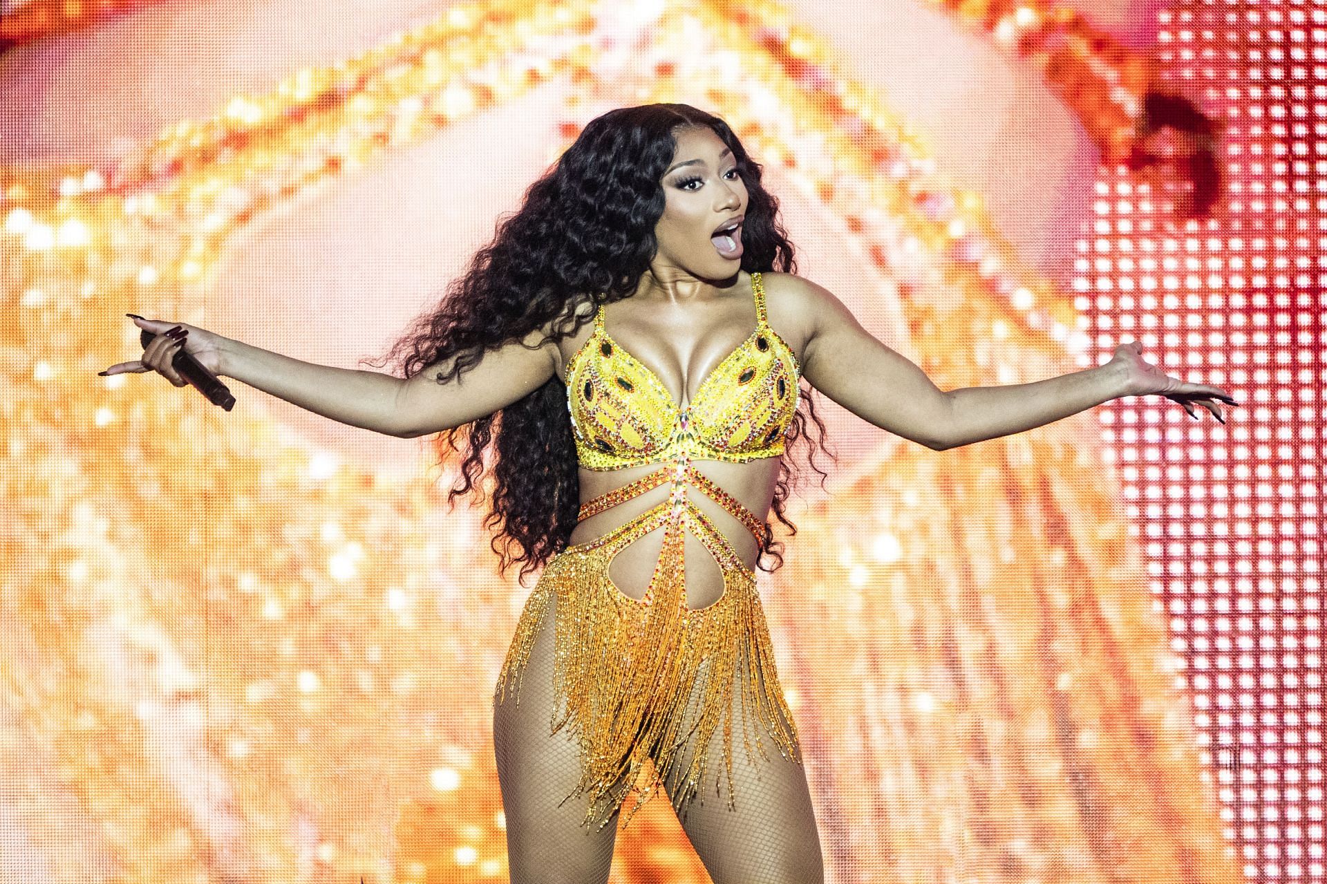 Megan Thee Stallion (Image via Getty)