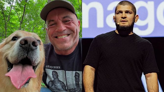 "It's like Khabib Nurmagomedov wrestling your grandmother"- When Joe Rogan broke down baby bear’s wrestling technique against a dog