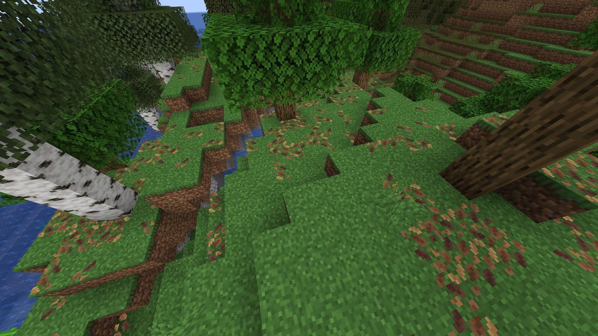 Leaf litter can be easily obtained and is abundant in biomes (Image via Mojang Studios)