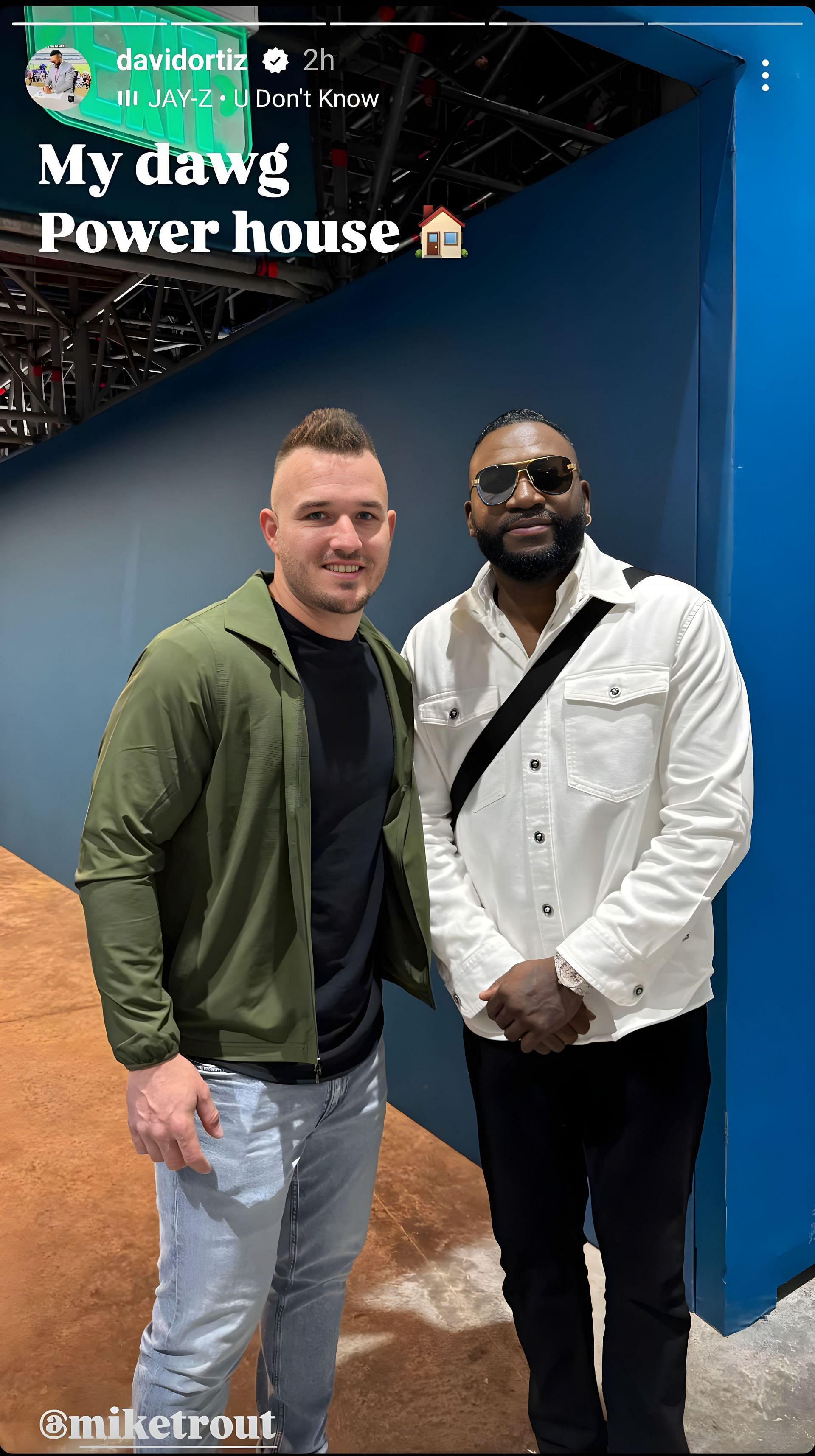 Mike Trout and David Ortiz Photo