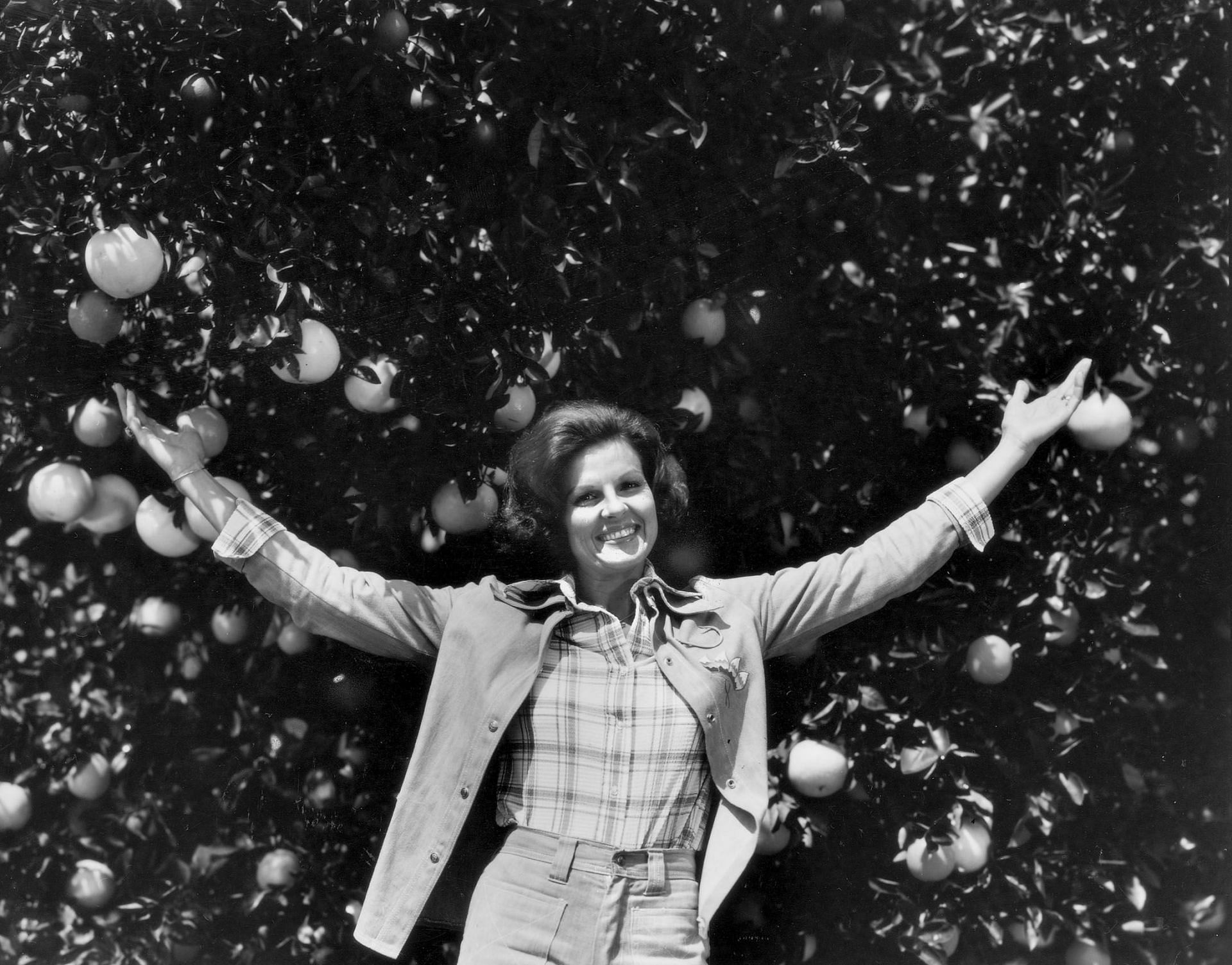 Citrus promoter and anti-gay activist Anita Bryant in an orange grove. (Photo by Lynn Pelham/Getty Images)