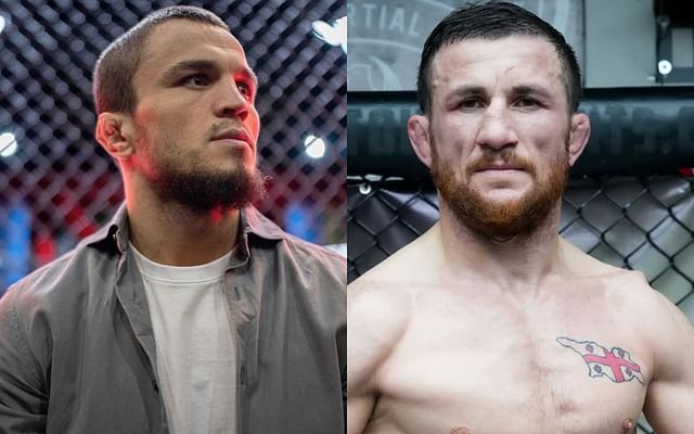 Merab Dvalishvili vs. Umar Nurmagomedov AI prediction: We asked AI to  predict the winner of Merab Dvalishvili vs. Umar Nurmagomedov at UFC 311  (And it offered three outcomes in reply)