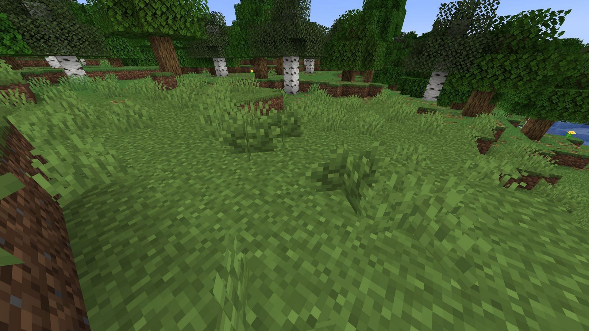 Bush block will mostly camouflage with regular grass blocks on which it grows (Image via Mojang Studios)