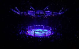 "I think I'm dying of thirst" - Childhood friend revisits phone call from UFC legend minutes before his mysterious death in California desert