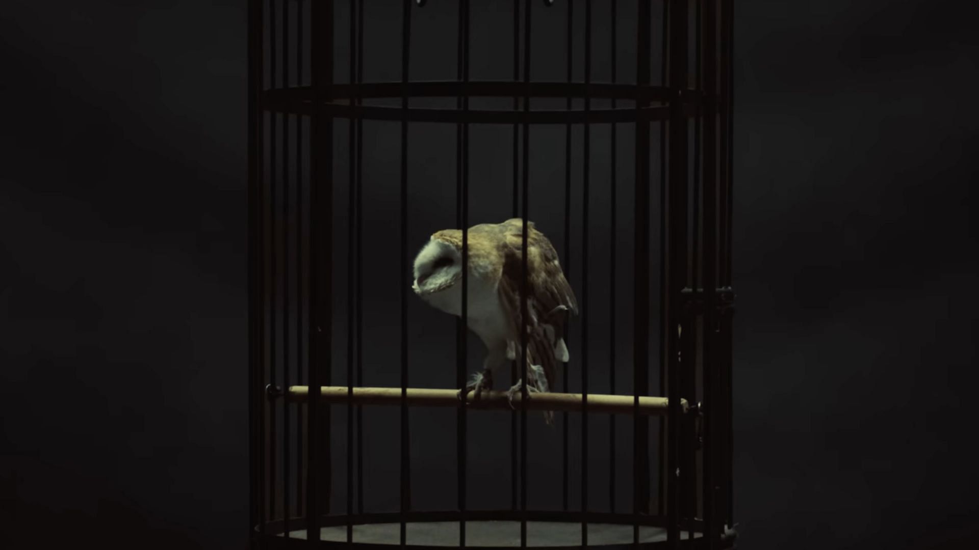 Kendrick uses OVO&#039;s &quot;Owl logo&quot; in symbolic metaphors in the &#039;Not Like Us&#039; music video (Image via YouTube/@kendricklamar)