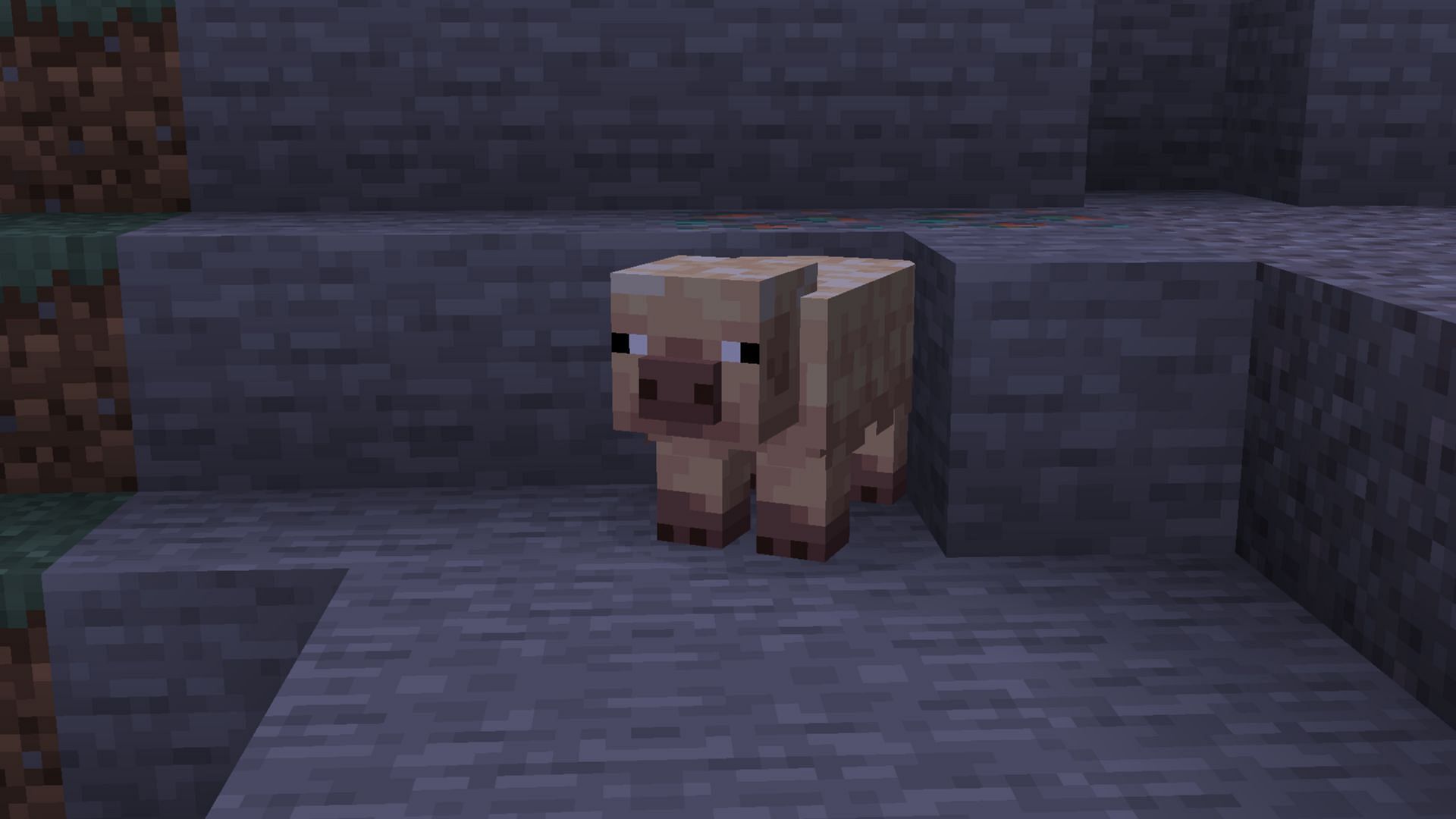 How to find cold and warm pig in Minecraft