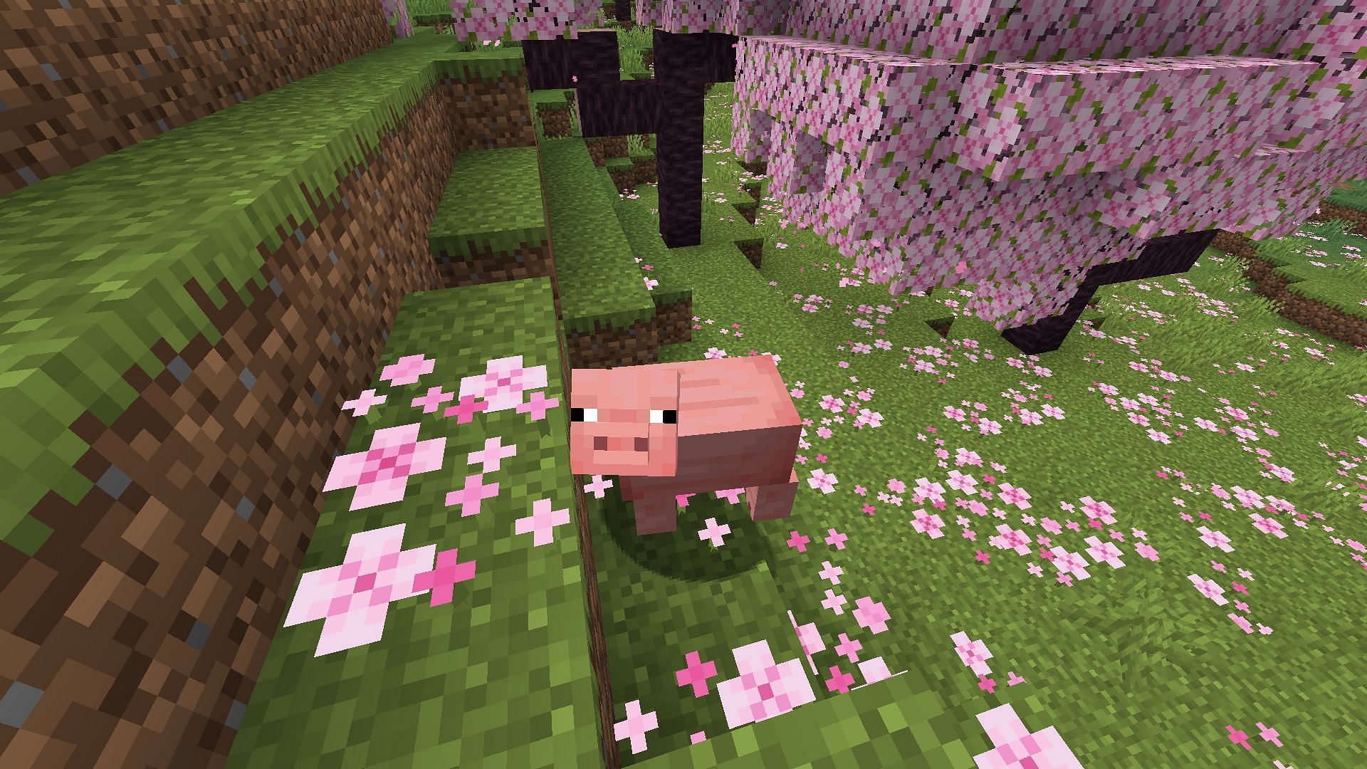 Original pink pigs will spawn in temperate biomes (Image via Mojang Studios)