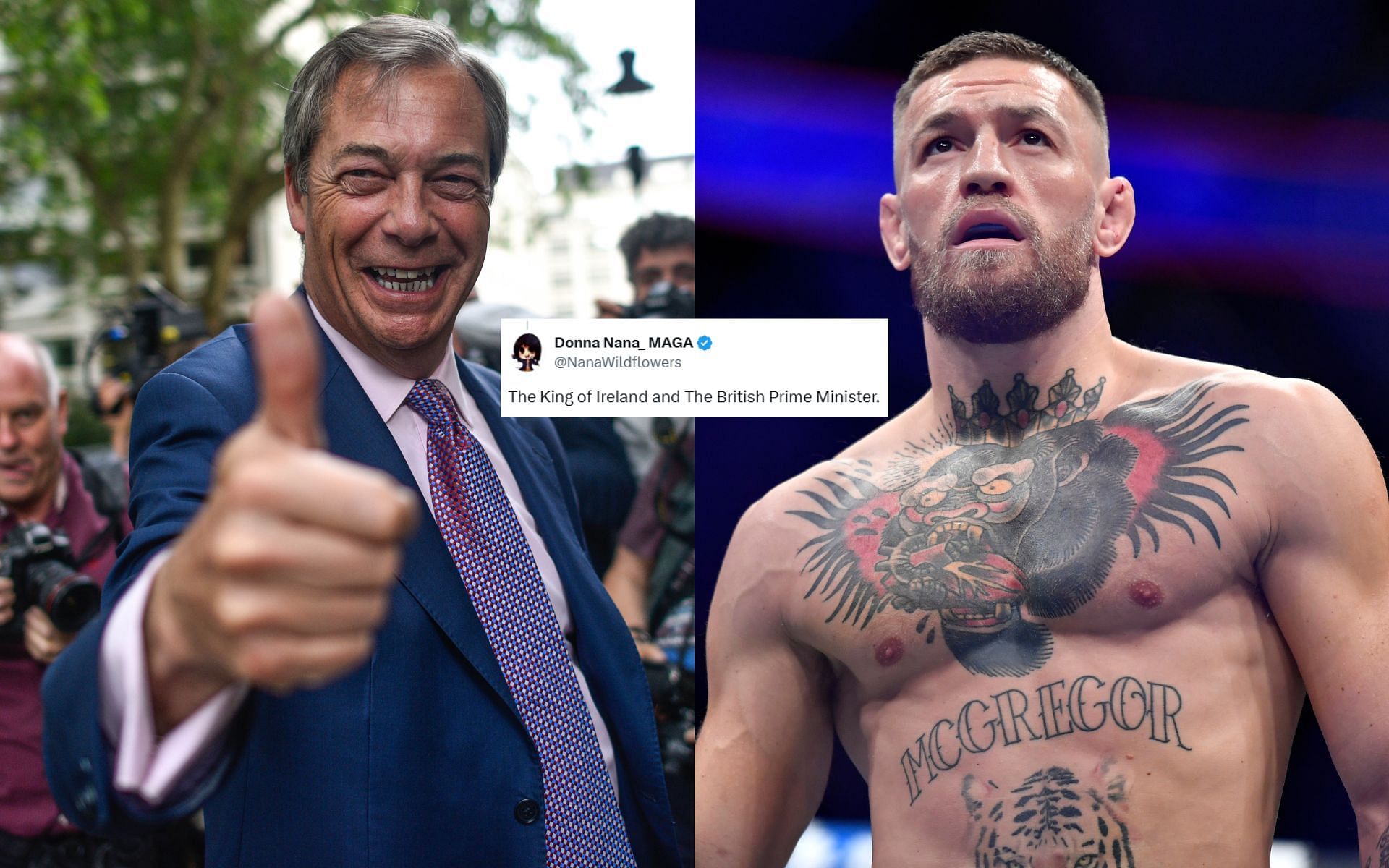 Nigel Farage (left) and Conor McGregor (right) recently partook in Donald Trump