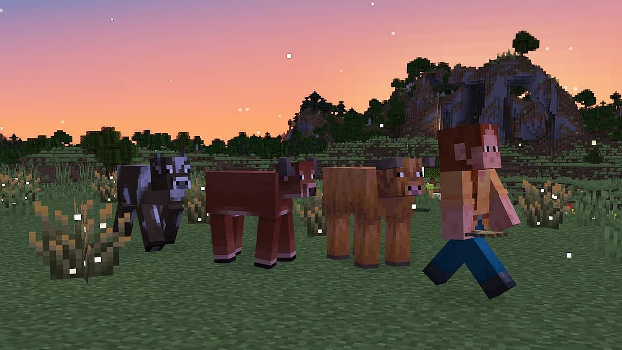 Cow variants (Image via Mojang)