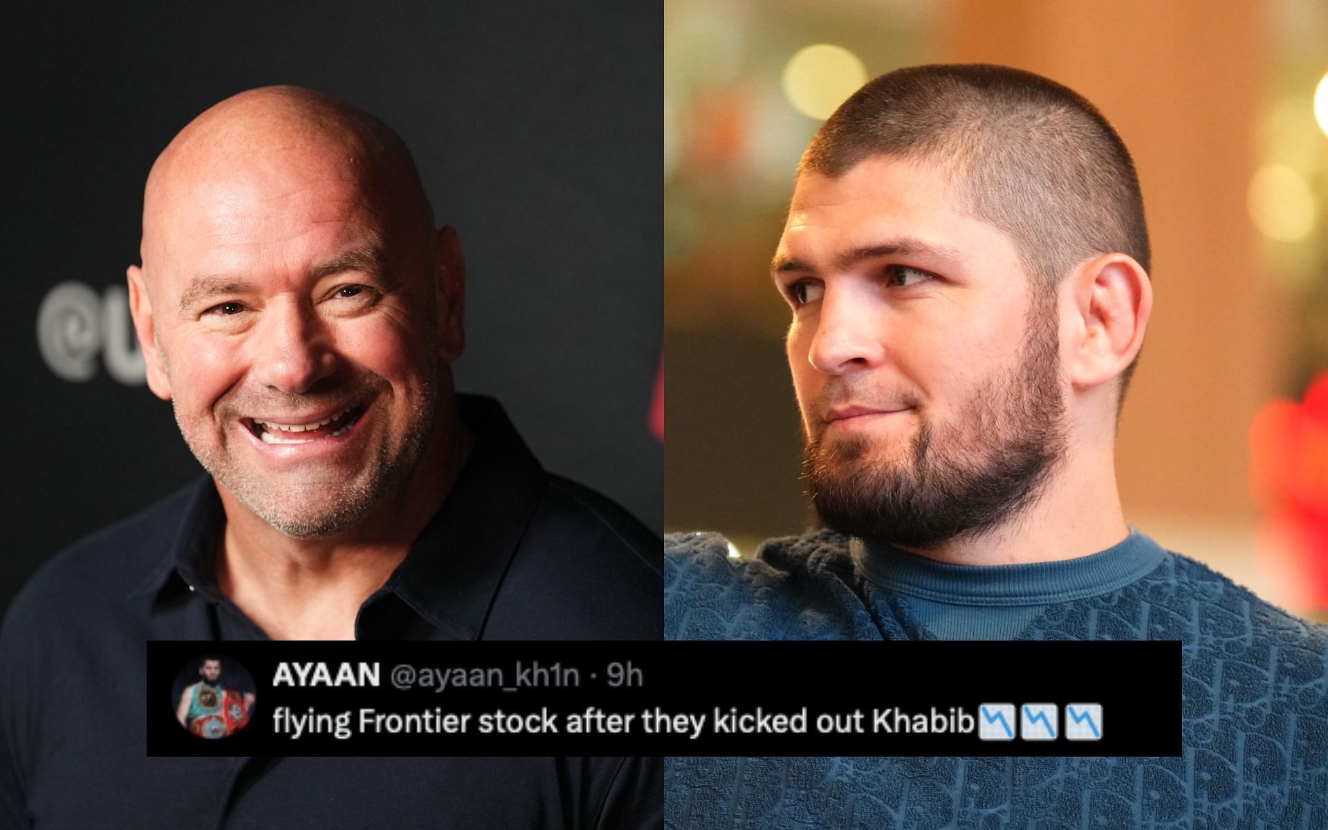 Fans on Dana White