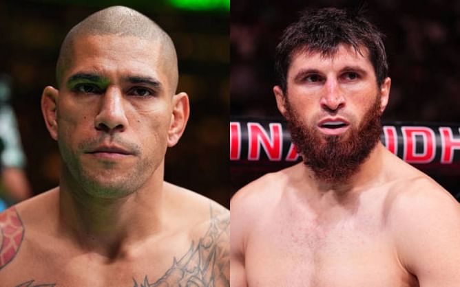 Alex Pereira reveals he asked for Magomed Ankalaev fight: "I’m the one that said I want to fight him now"