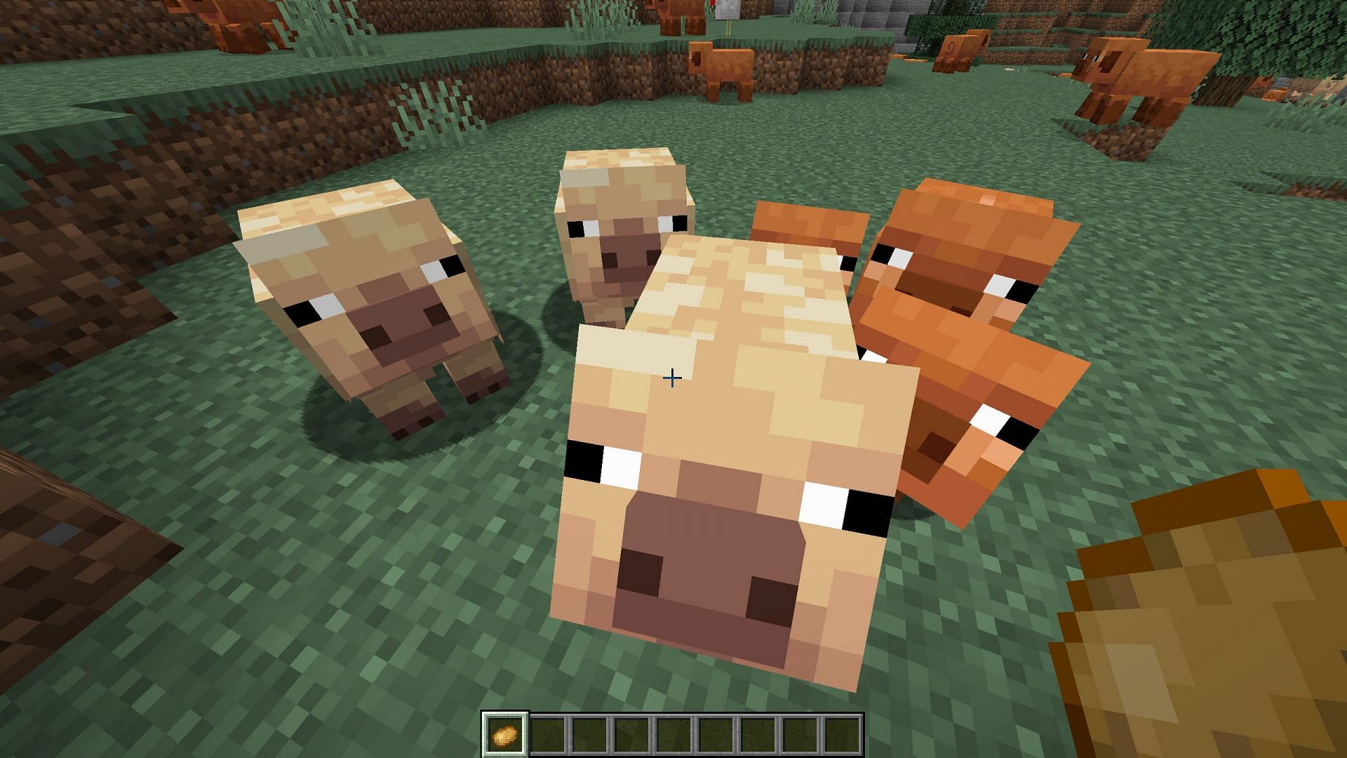 Cold and Warm pig variants have been added (Image via Mojang Studios)