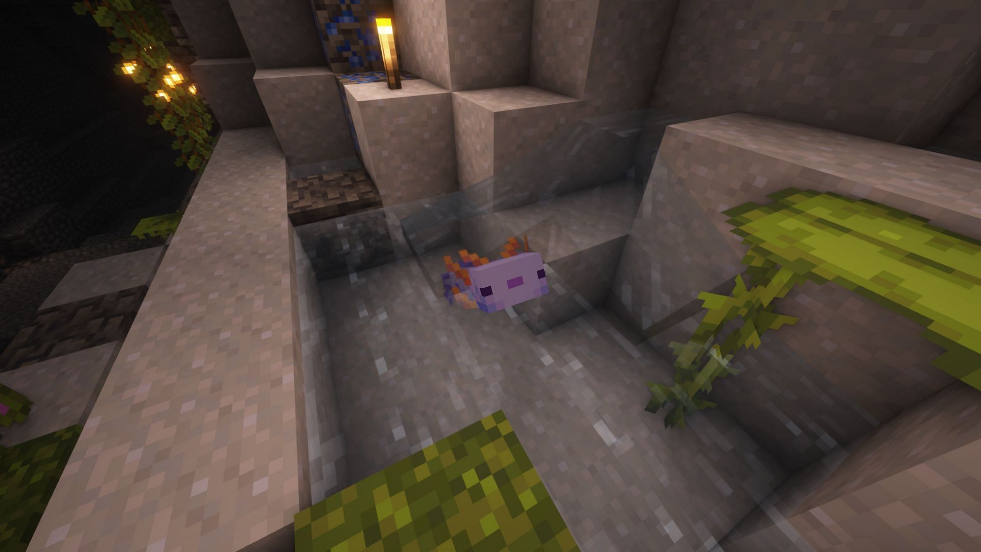 Blue Axolotls have a slim chance of spawning in Lush Caves (Image via Mojang Studios)