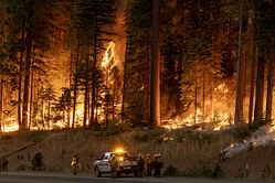 "He wanted his Luigi moment"- Netizens react as the LAPD reportedly arrest arson suspect behind California wildfires