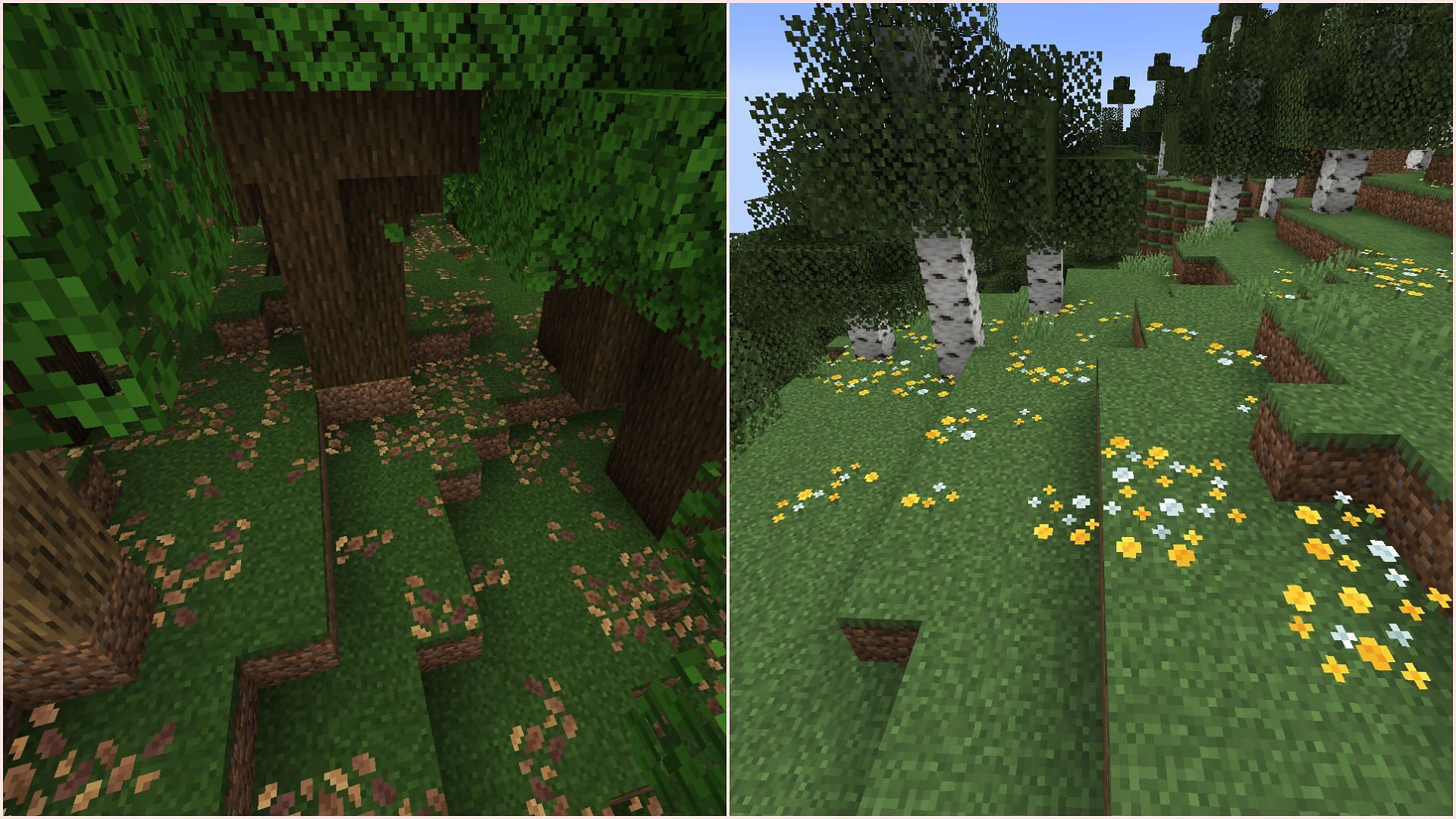 Leaf litter and wildflower have not been added to the beta/preview version (Image via Mojang Studios)