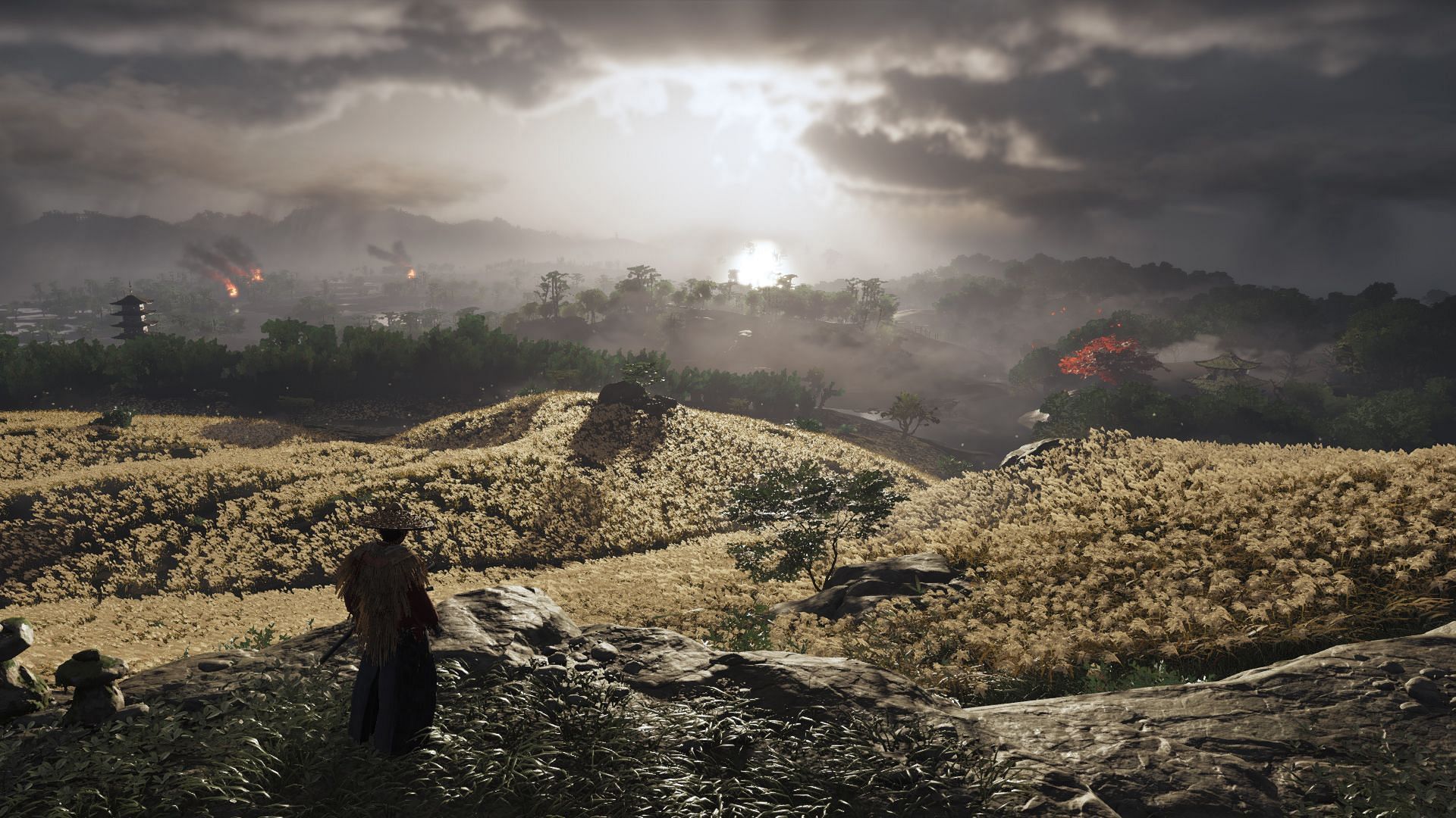 Jin Sakai overlooking the Otsuna Greenlands in Ghost of Tsushima.