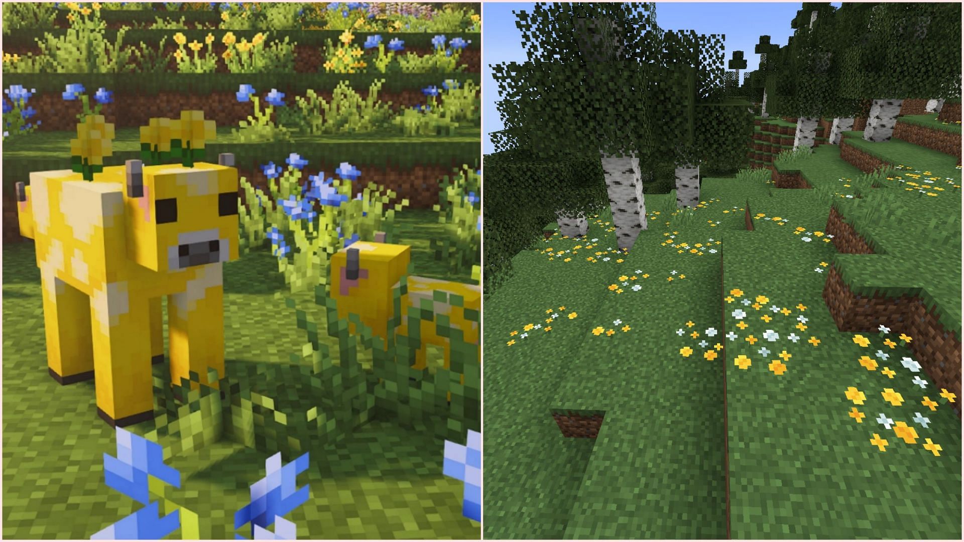 Moobloom&#039;s appearance will fit perfectly with other features added to the upcoming game drop (Image via CurseForge/Faboslav || Mojang Studios)