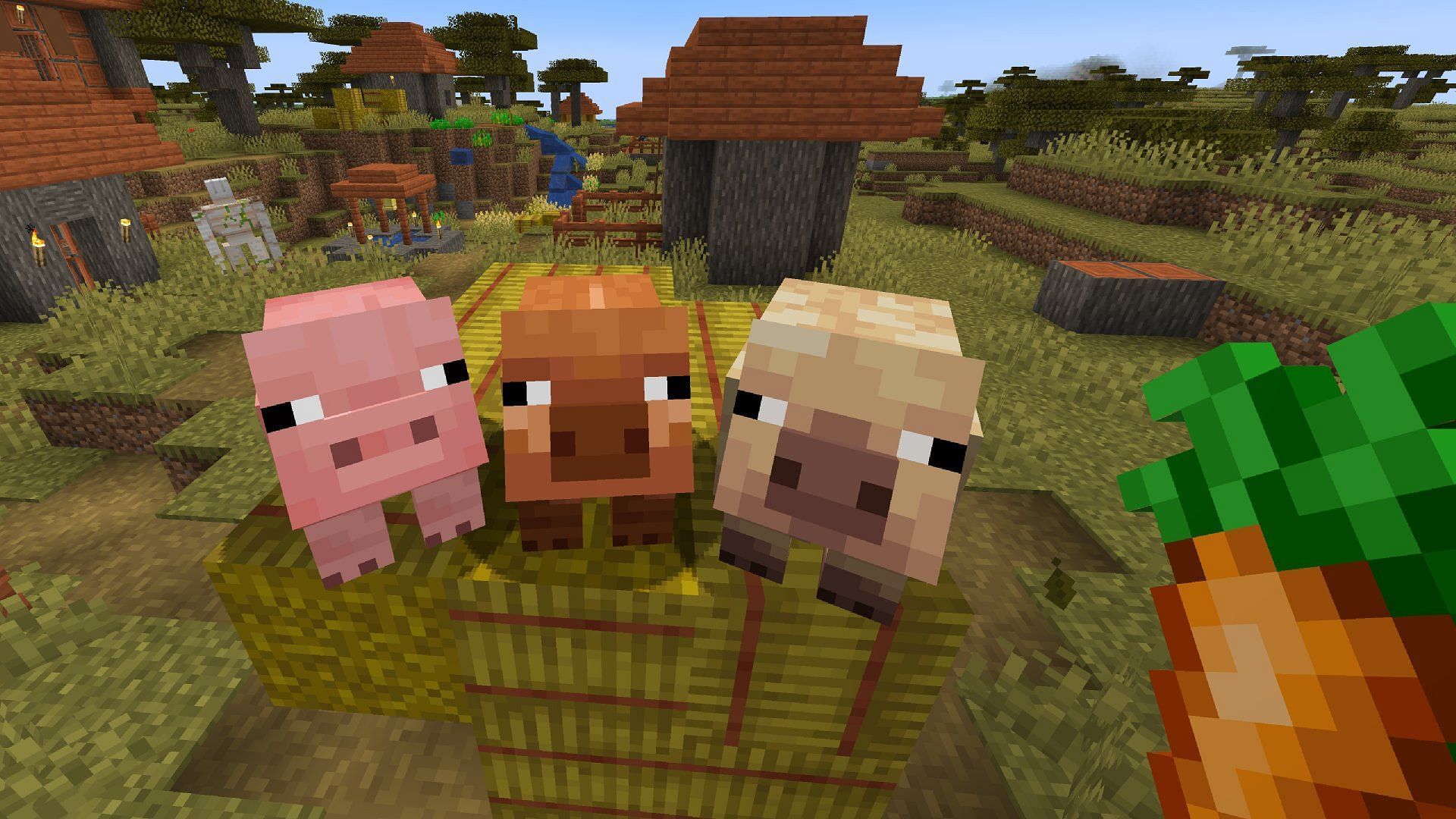 New pig variants (Image via Mojang)