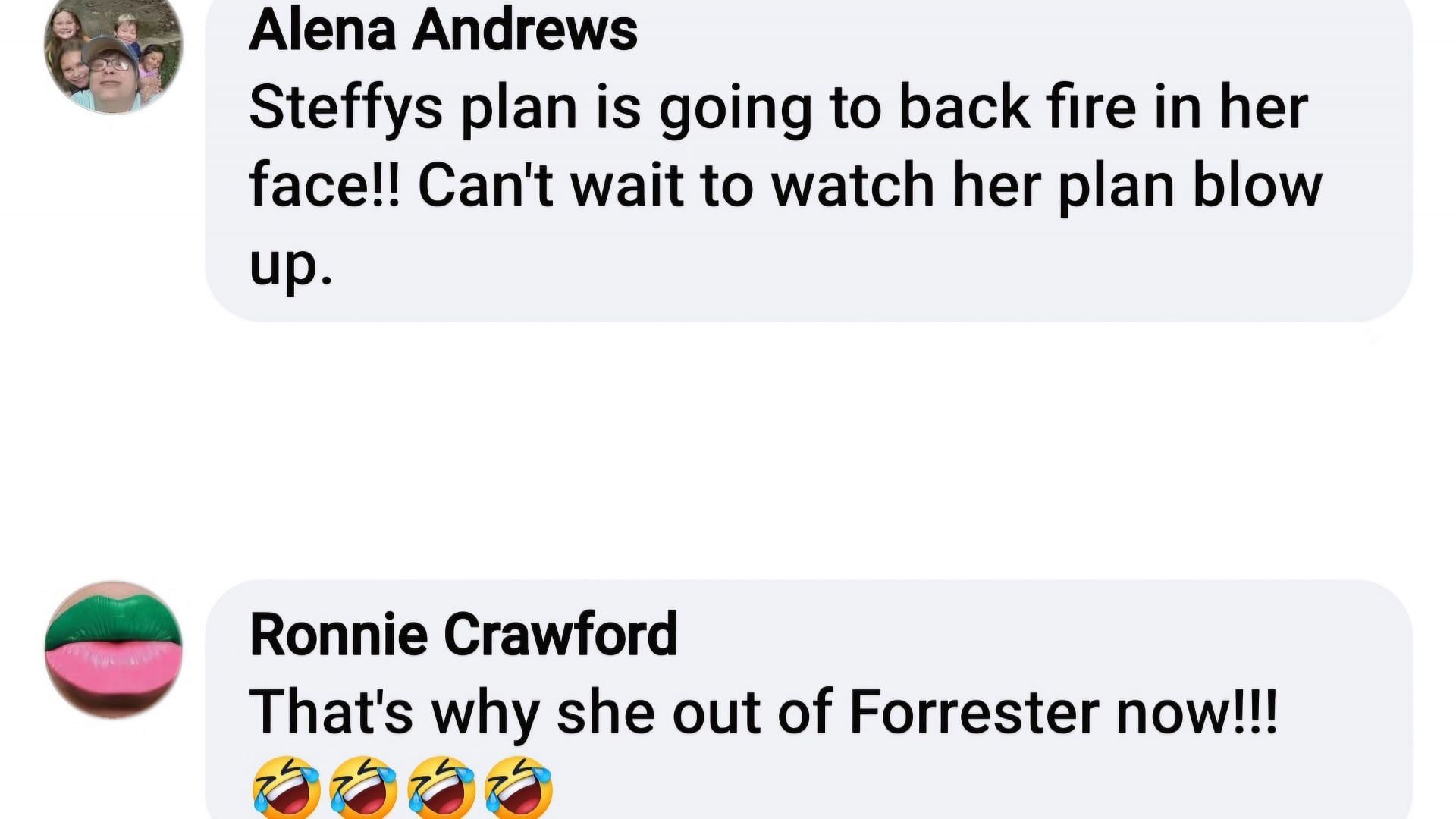 Fan discussing Steffy&#039;s history on the soap (Image via Facebook/@Mary Ray)