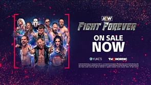 Will AEW Fight Forever get a sequel in 2025?