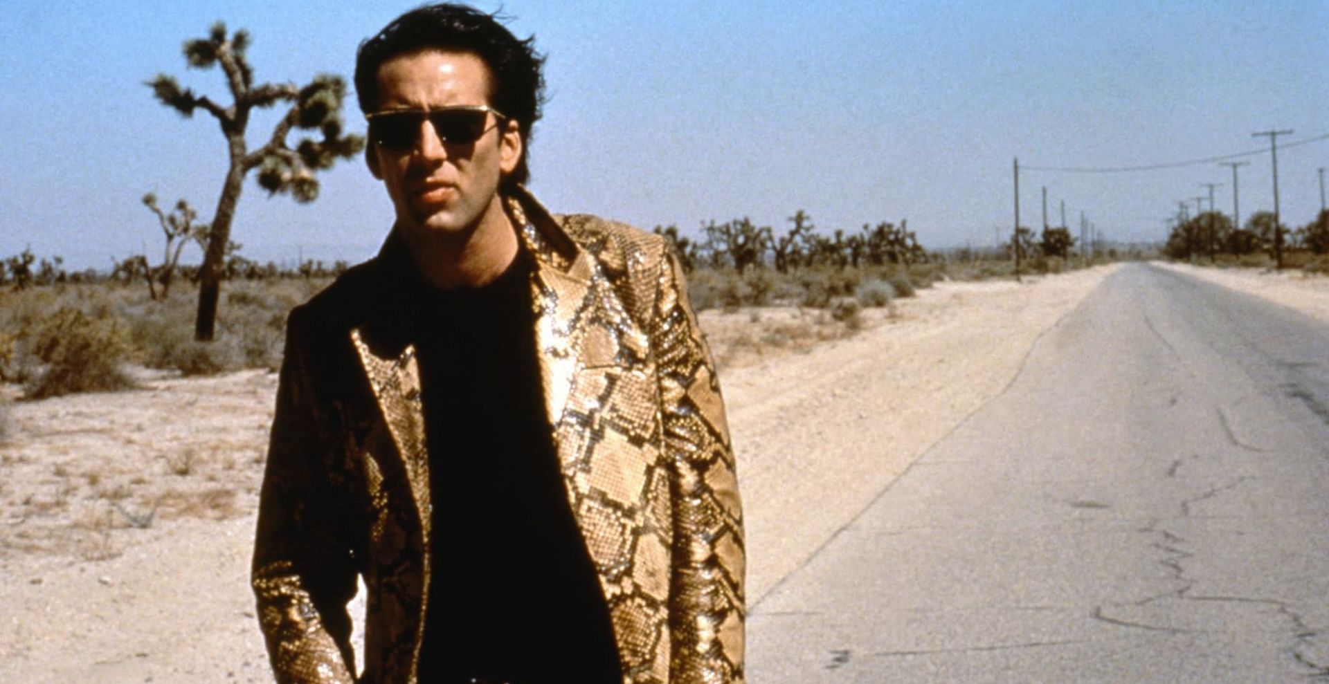 Wild at Heart soundtrack: A definitive guide to all the songs in the movie