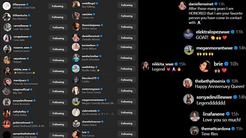 Screenshot of stars' likes and comments [Image credits: Natalya's Instagram handle]