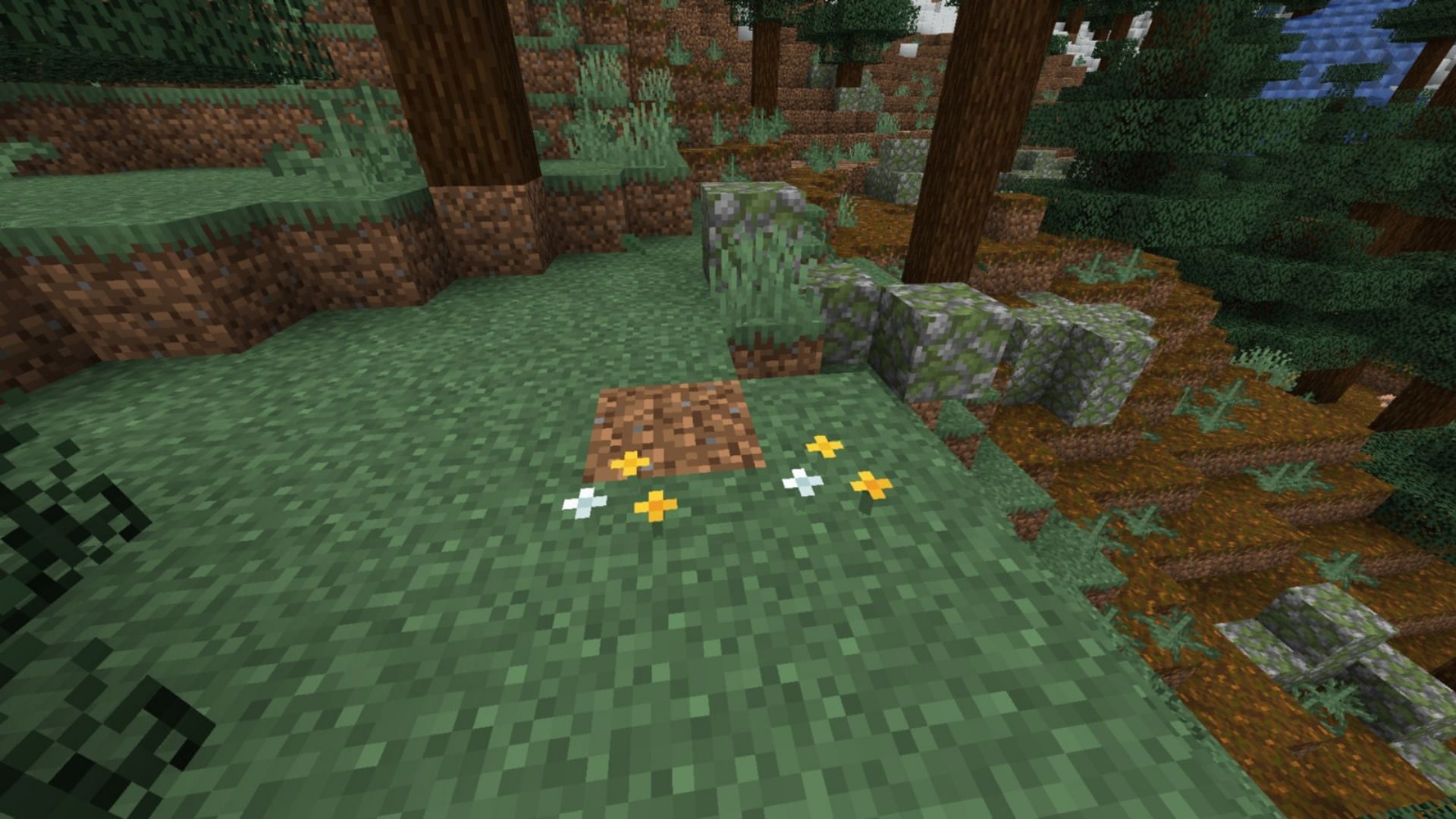 Wildflowers can be found in some biomes (Image via Mojang Studios)