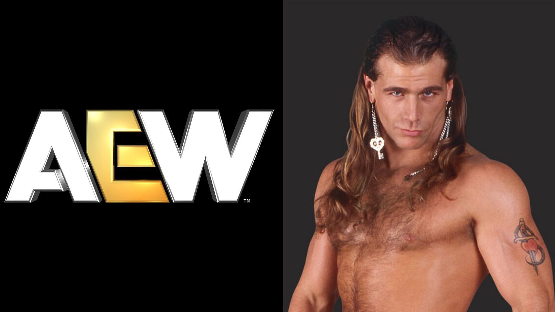 An AEW star was recently compared to Shawn Michaels. (Image via AEW Facebook and WWE.com) 