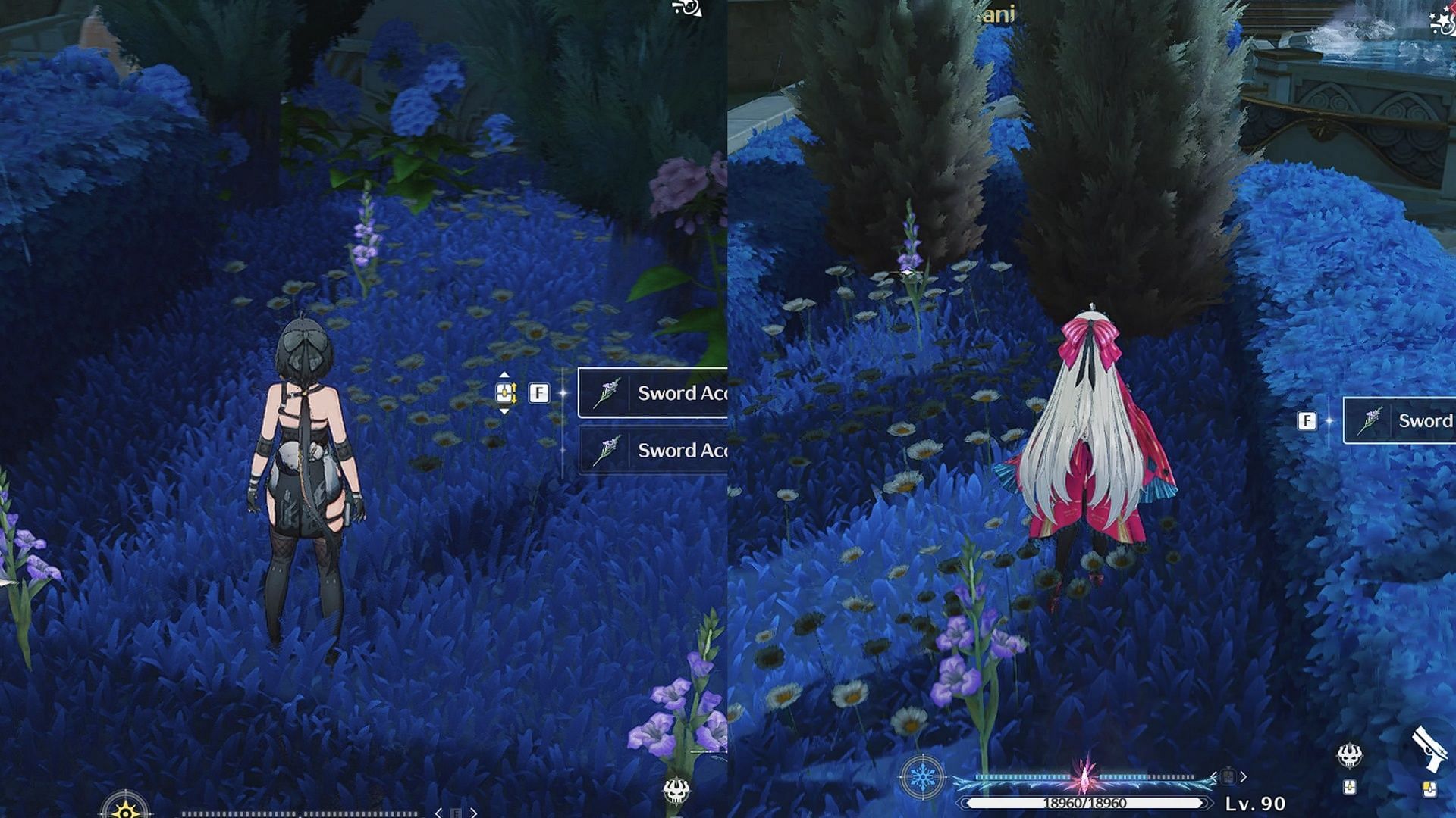 You can find Sword Acorus behind bushes (Image via Kuro Games)