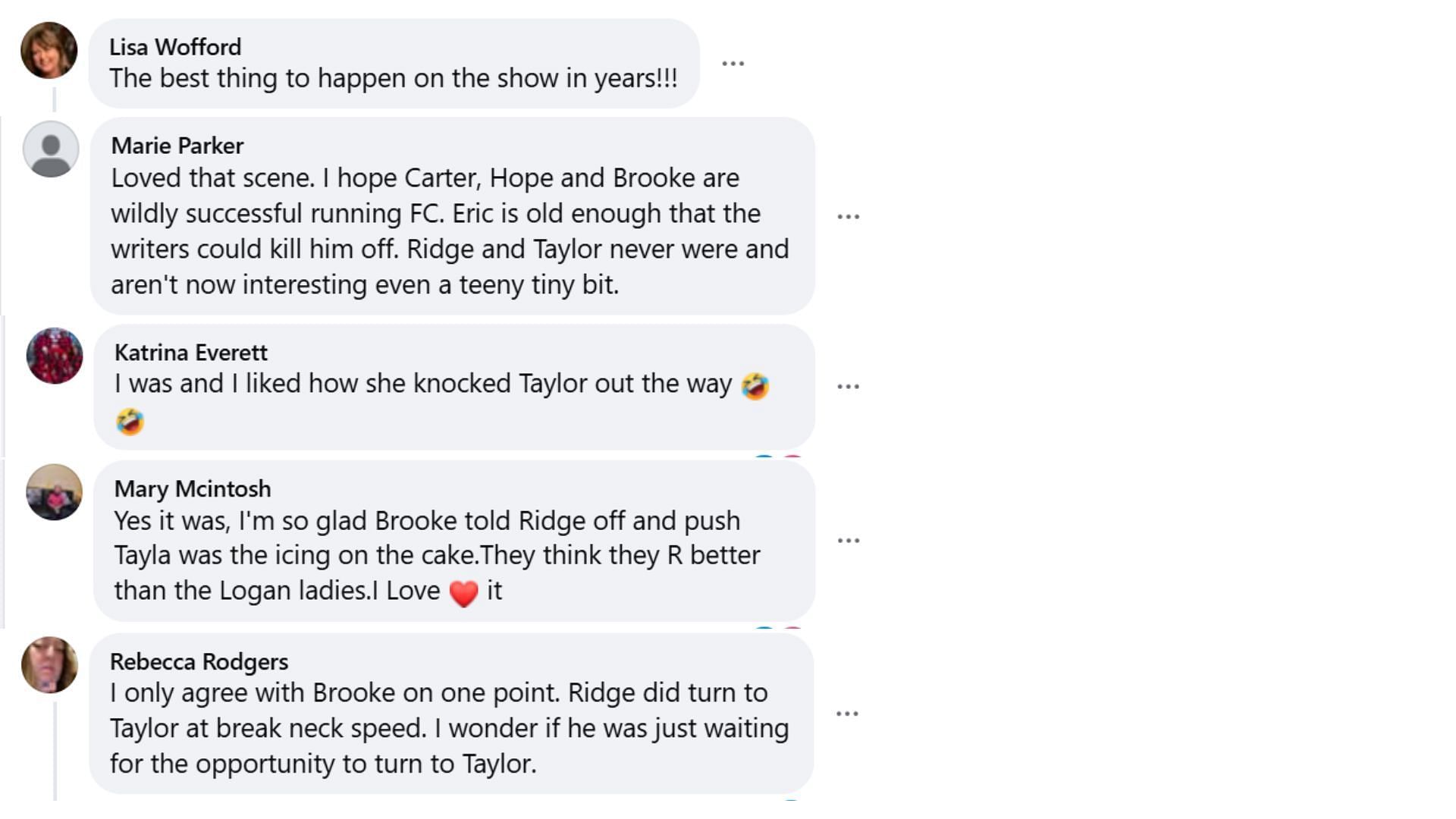 Fans find Brooke&#039;s actions justified (Image via Facebook/groups/theboldandthebeautifull)