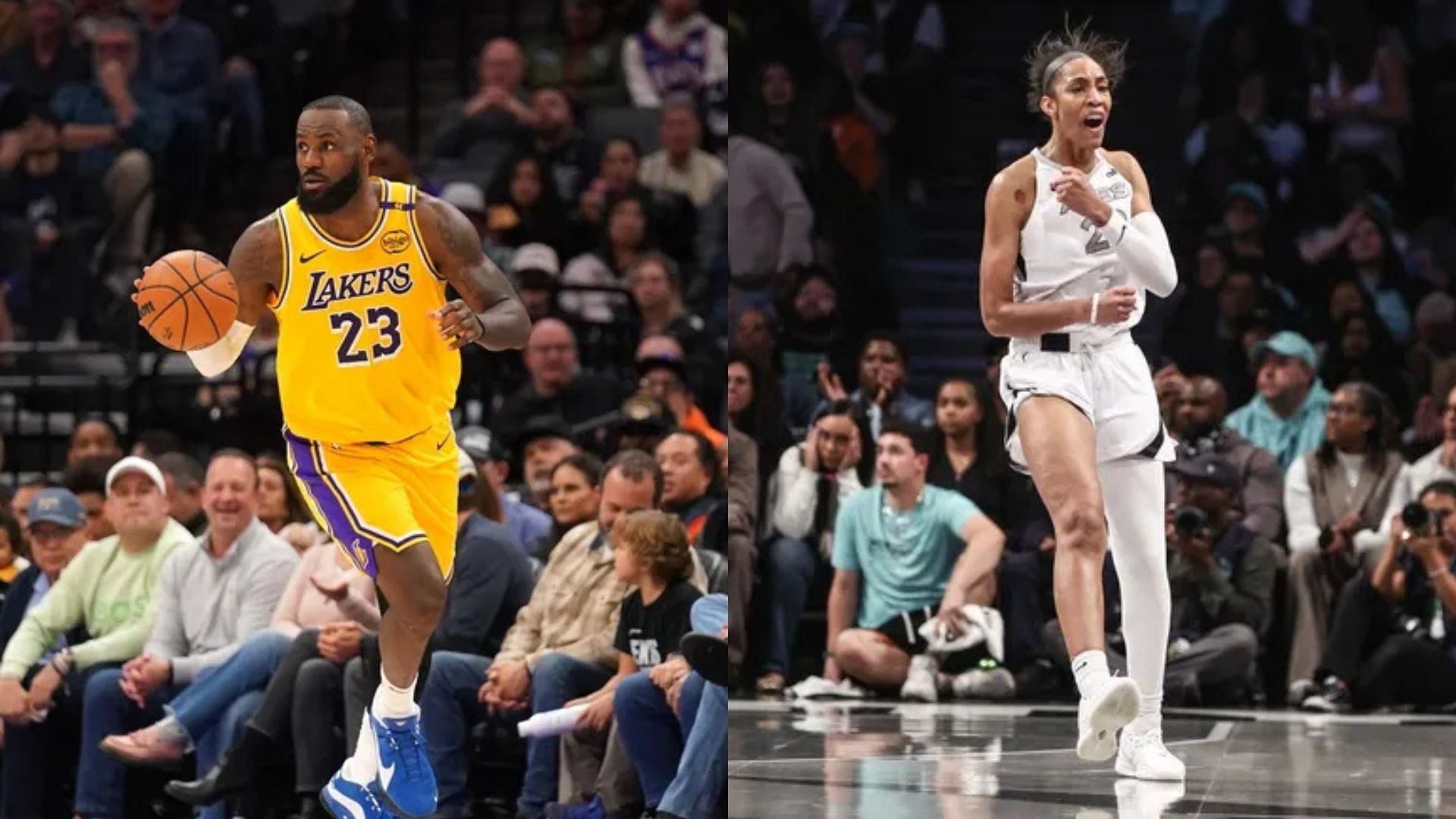 Los Angeles Lakers guard LeBron James, Las Vegas Aces center A&#039;ja Wilson. Photo Credits: Imagn