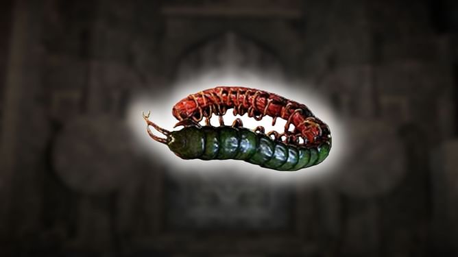 Path of Exile 2: How to get Ryslatha's Coil Unique Belt