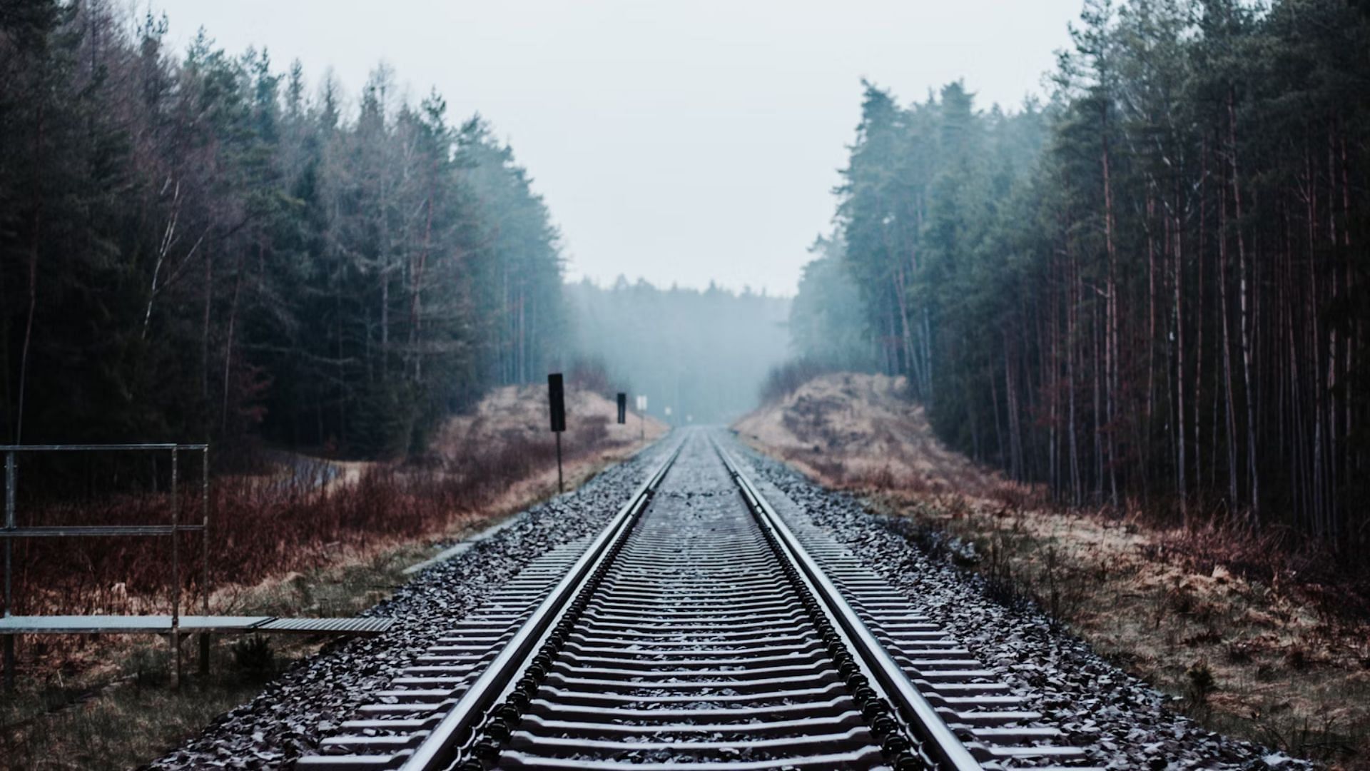 Qinxuan&#039;s car was found on the track in North Haven (Image via Unsplash @Julian Hochgesang)