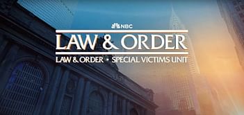 Law and Order: SVU season 26 episode 10 ending explained - Who is the real villain?