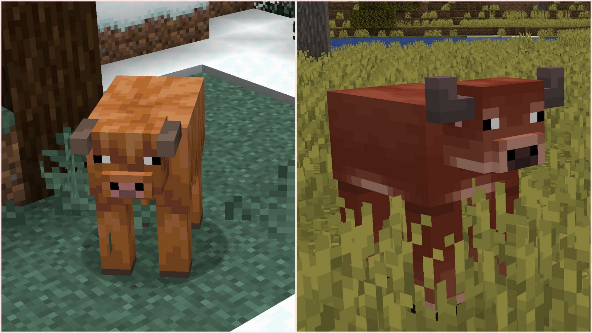 Minecraft has released two new cow variants for the upcoming game drop (Image via Mojang Studios)