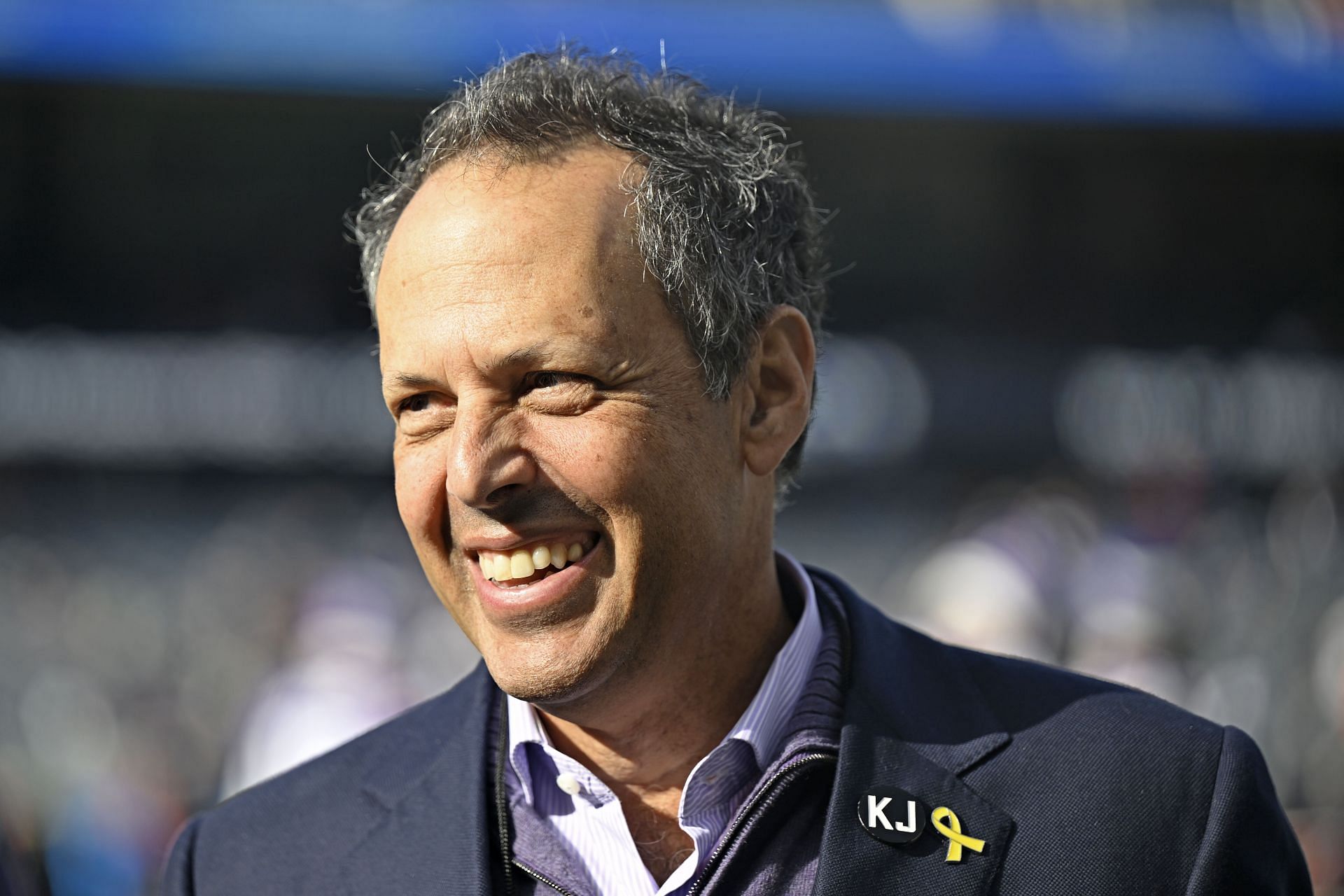 Minnesota Vikings Owner