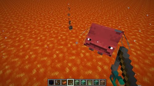 Striders are easily found in the Nether (Image via Mojang Studios)