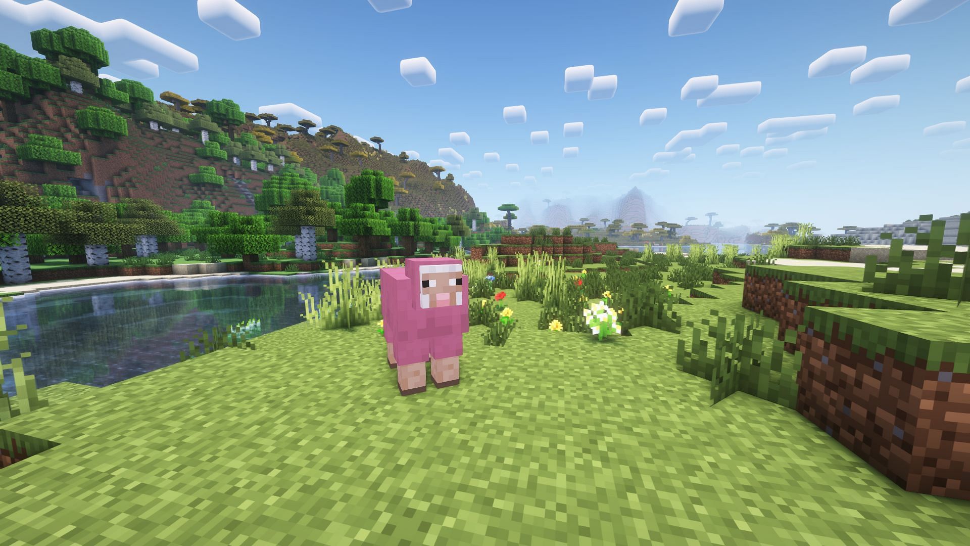 Pink Sheep is the most iconic rare mob variant found in some of the most common biomes (Image via Mojang Studios)