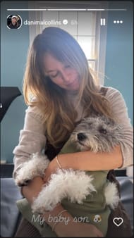 Collins' Instagram Story (Image: Instagram @danimalcollins)