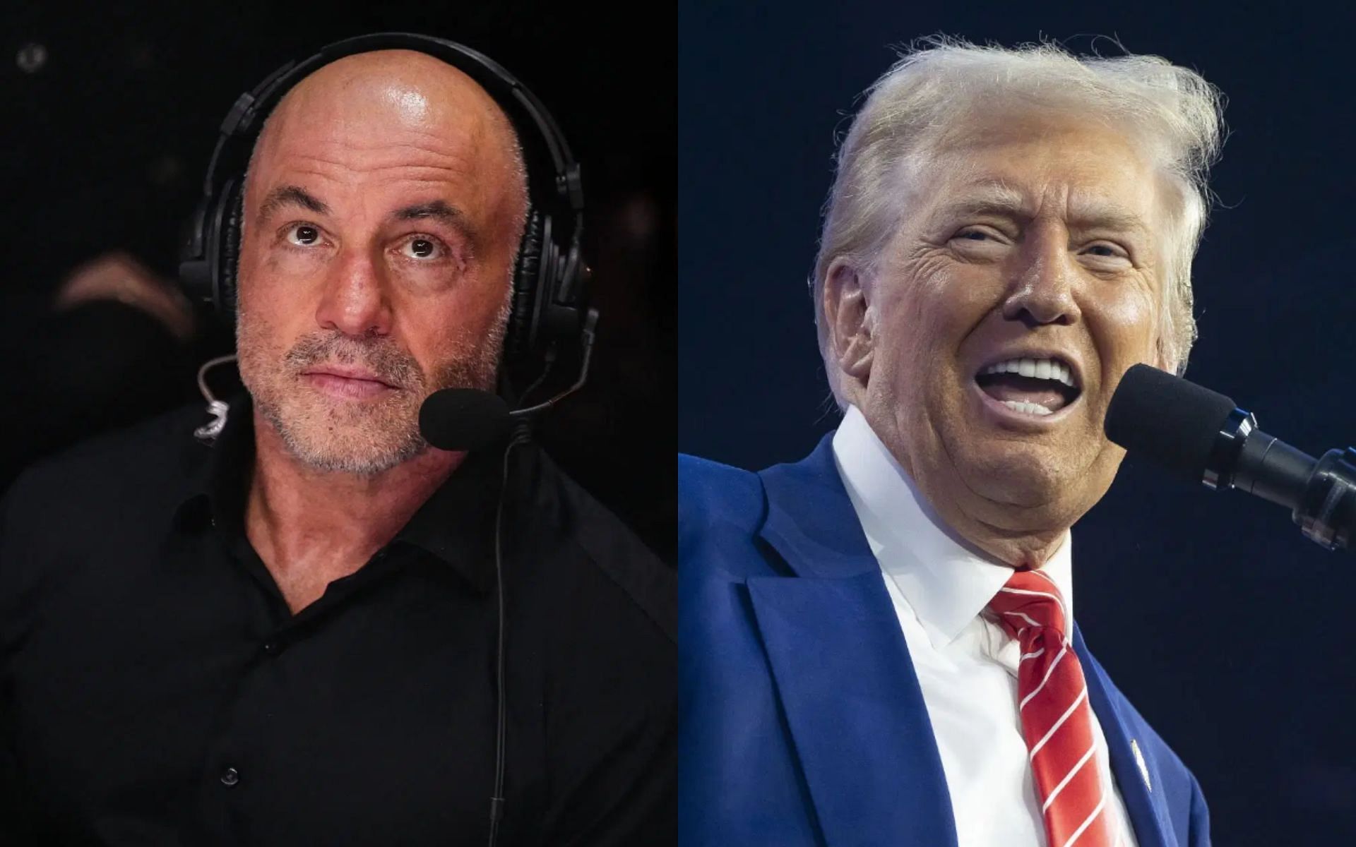 Joe Rogan and Donald Trump